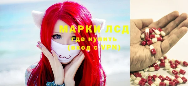 гашик Лысково