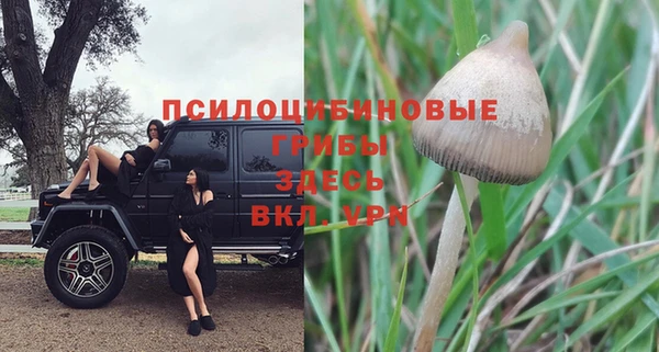 ALPHA-PVP Краснотурьинск
