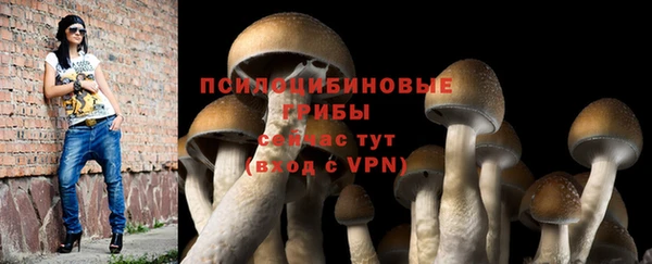 бутират Краснослободск