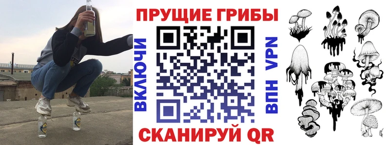 Галлюциногенные грибы GOLDEN TEACHER  это формула  Южа  блэк спрут зеркало 